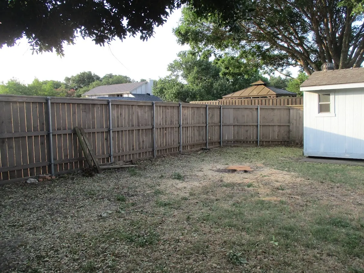 Cleared yard after professional tree removal in La Valle