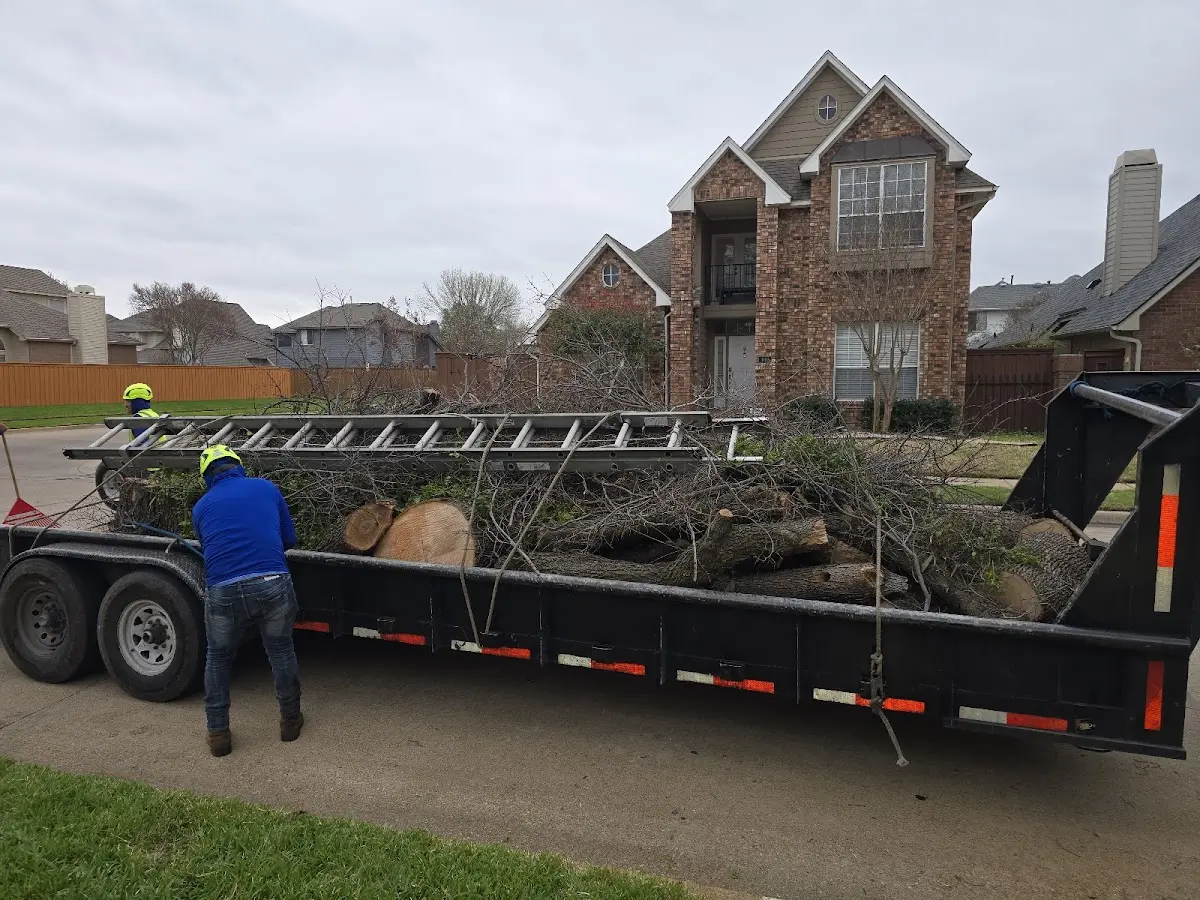 Expert Tree Fertilization with proper safety equipment in La Valle